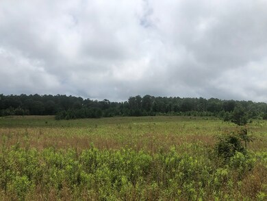 00 Carl Cloud Rd, Climax, GA 39834 - photo 3