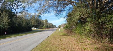 0 SW Rainbow Lakes Blvd unit MFROM672441, Dunnellon, FL 34431 - photo 3