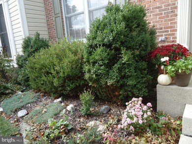 7964 Brightlight Place, Ellicott City, MD 21043 - photo 2