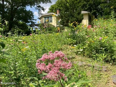 Garden in blossom with walkway