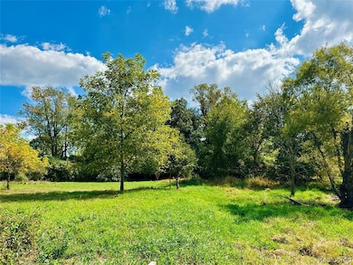 9810 Iosco Ridge Dr, Iosco Township, MI 48137 - photo 5