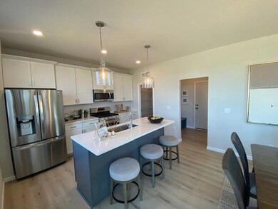 4801 Baker Reserve Ln, Maple Plain, MN 55359 - photo 6