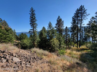 Lt 6 Blk 3 Dusk, Harrison, ID 83833 - photo 3