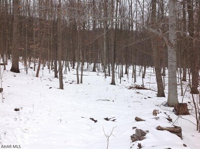 146 Spruce Rd, Bedford, PA 15522 - photo 2