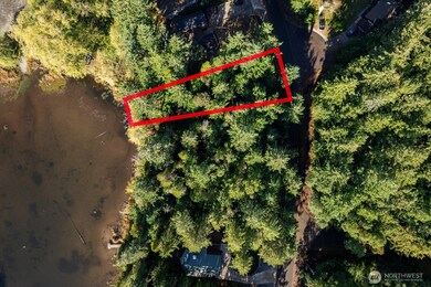 11104 Matthews Way, Anderson Island, WA 98303 - photo 4