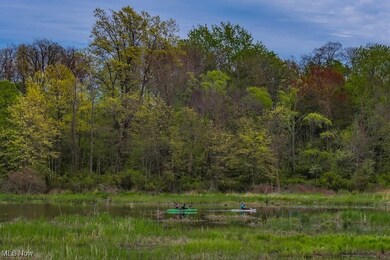 V/L Dock Rd, Madison, OH 44057 - photo 4