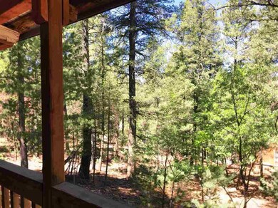 18 Big Tree Ln unit 1, Cloudcroft, NM 88317 - photo 7