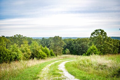 View from Driveway