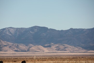 IMG_4490 - Copy