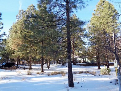 8584 W Elk Rd, Strawberry, AZ 85544 - photo 4