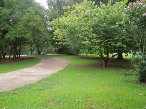 210 Meadow Lark Dr, Harrison, AR 72601 - photo 6