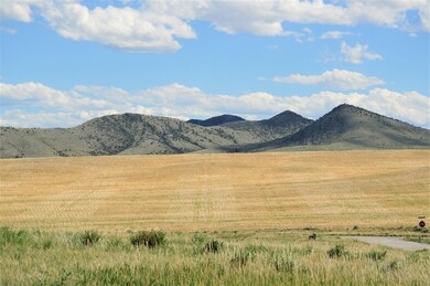 DSC_0309 (2)