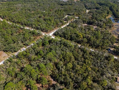 00 Norway St, Webster, FL 33597 - photo 7