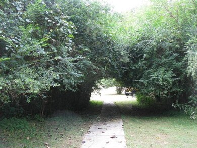 1249 Dog Branch Rd, Goodspring, TN 38460 - photo 6