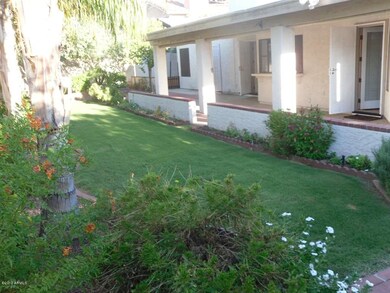 Back yard