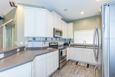 9905 Serona Bluff Way, Tampa, FL 33619 - photo 7