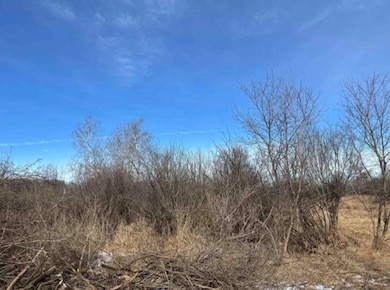 000 Grapevine Ave, Tomah, WI 54660 - photo 7