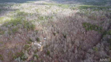 9512 County Road 451, Bartlett Township, MO 65588 - photo 6