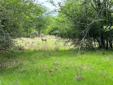 00 Hickory Loop, Thornton, TX 76687 - photo 6
