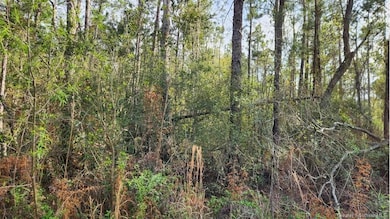 0 Olsen Rd unit SWL25001361, Sulphur, LA 70665 - photo 3