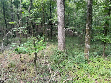 00 Raymond Rd, Hazlehurst, MS 39083 - photo 7