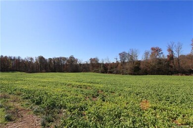 445 Wooten Farm Rd, Statesville, NC 28625 - photo 5