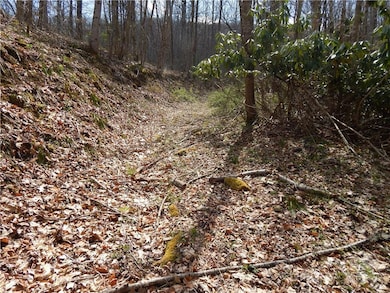 00 Gentry Farm Rd, Spring Creek, NC 28743 - photo 3