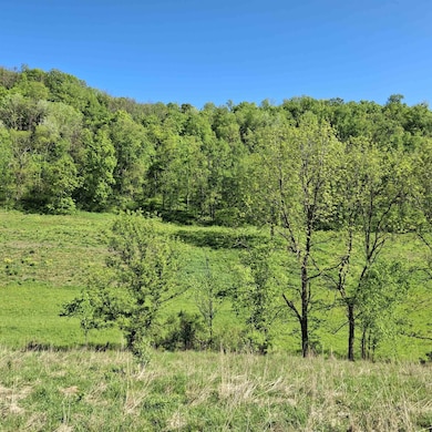 40 Acre unit Walnut Lane, Richland Center, WI 53581 - photo 5