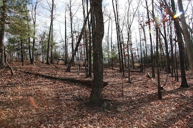 0 Supinlick Ridge Rd unit LotWP002, Mount Jackson, VA 22842 - photo 3