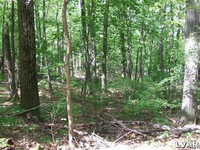 540 Oakhill Rd, Salisbury Township, PA 18049 - photo 2