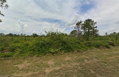 640 Vasser Ave S, Lehigh Acres, FL 33974 - photo 3