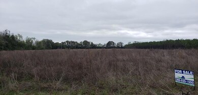 0 266th St, O'Brien, FL 32071 - photo 3