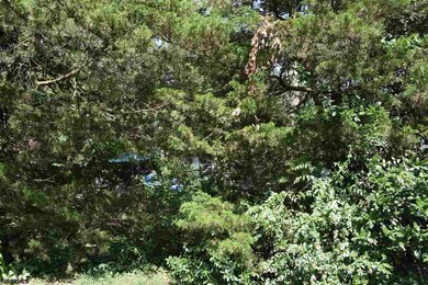 16 Klains Ln, Marmora, NJ 08223 - photo 7