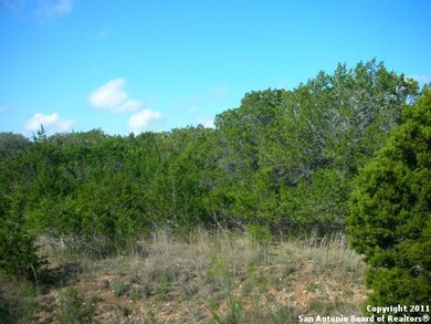 23019 Central Prairie, Cross Mountain, TX 78255 - photo 3