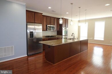 25096 Green Mountain Terrace, Aldie, VA 20105 - photo 5