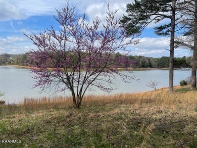 Red Bud Tree