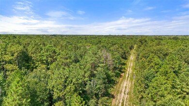 Drone / aerial view of a heavily wooded area