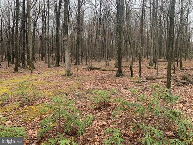 19-A Sparrow Hill Rd, Bloomery, WV 25434 - photo 2