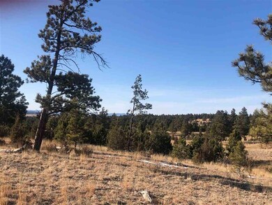 Big Sky 9 Elk Run Rd unit Canyon Rim Ranch, Custer, SD 57730 - photo 2