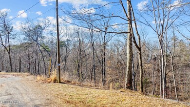dji_20250129132813_0004_d
