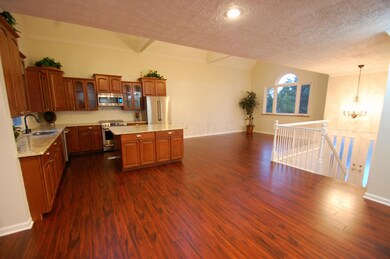 Contemporary Open Floor Plan!