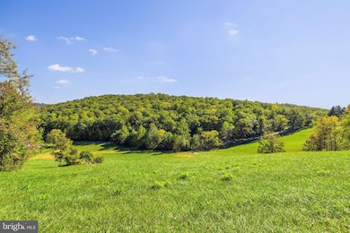 4800 Fiery Run Rd, Linden, VA 22642 - photo 3