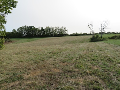 590 Craig Crossing, Winchester, KY 40391 - photo 2