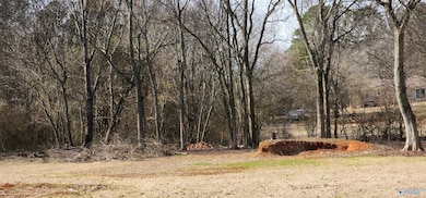 325 Pension Row, Madison, AL 35758 - photo 6