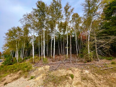 Birch Trees