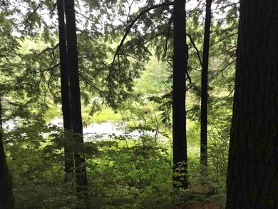 22 Oak Ridge Rd, Nottingham, NH 03290 - photo 4