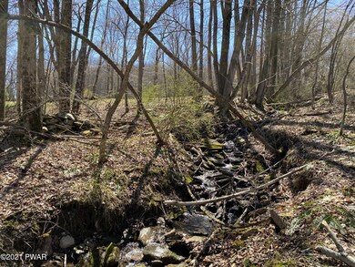 0 Burns Rd unit PWB211199, Clinton Township, PA 18472 - photo 7