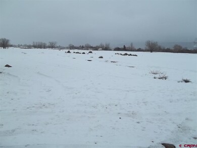 0 NE Fir Ave unit 753503, Cedaredge, CO 81413 - photo 2