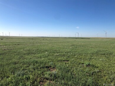 0003 Calhan Hwy, Calhan, CO 80808 - photo 3