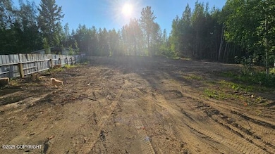 806 S Freeman Way, Big Lake, AK 99654 - photo 5